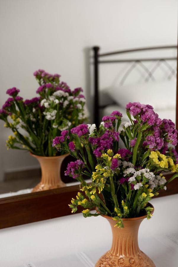 Castle Memories Aparthotel Naxos City ภายนอก รูปภาพ